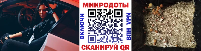 Галлюциногенные грибы Cubensis  Заводоуковск 